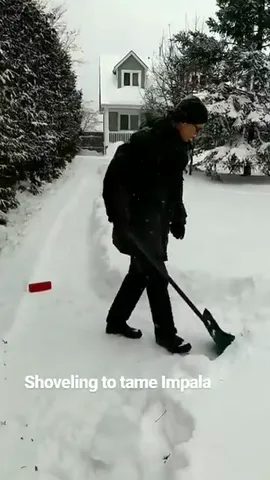 Shoveling to tame Impala