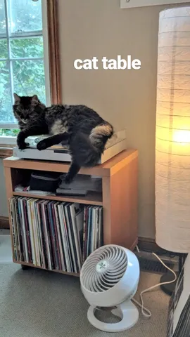cat table
