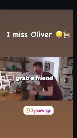 I miss Oliver 🥲🐈
