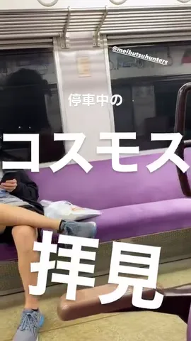 停車中の コスモス 拝見 @meibutsuhunters