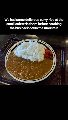 We had some delicious curry rice at the small cafeteria there before catching the bus back down the mountain