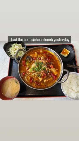 I had the best sichuan lunch yesterday