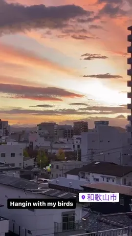 Hangin with my birds