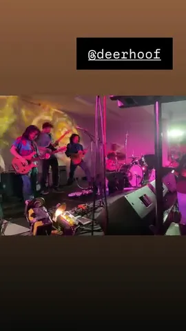 @deerhoof