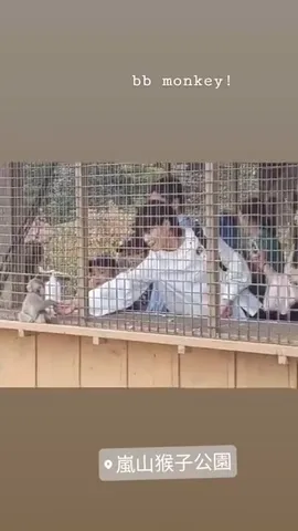 bb monkey!
