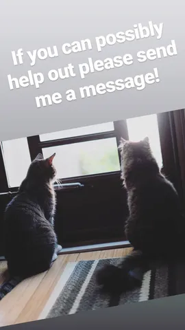 If you can possibly help out please send me a message!