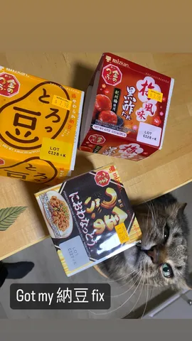 Got my 納豆 fix fang