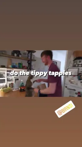do the tippy tappies