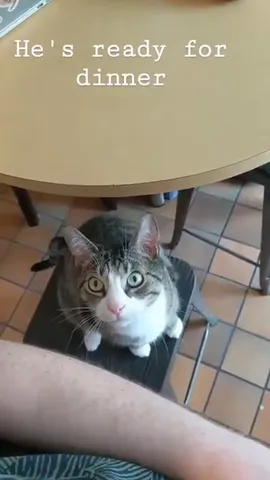He's ready for dinner